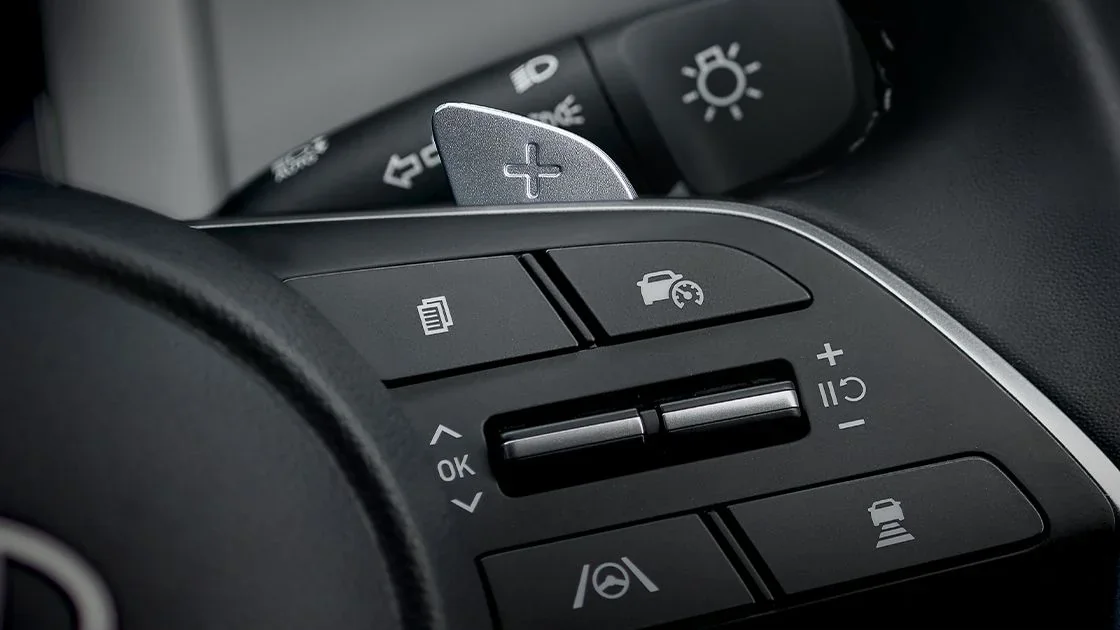 Paddle Shifter